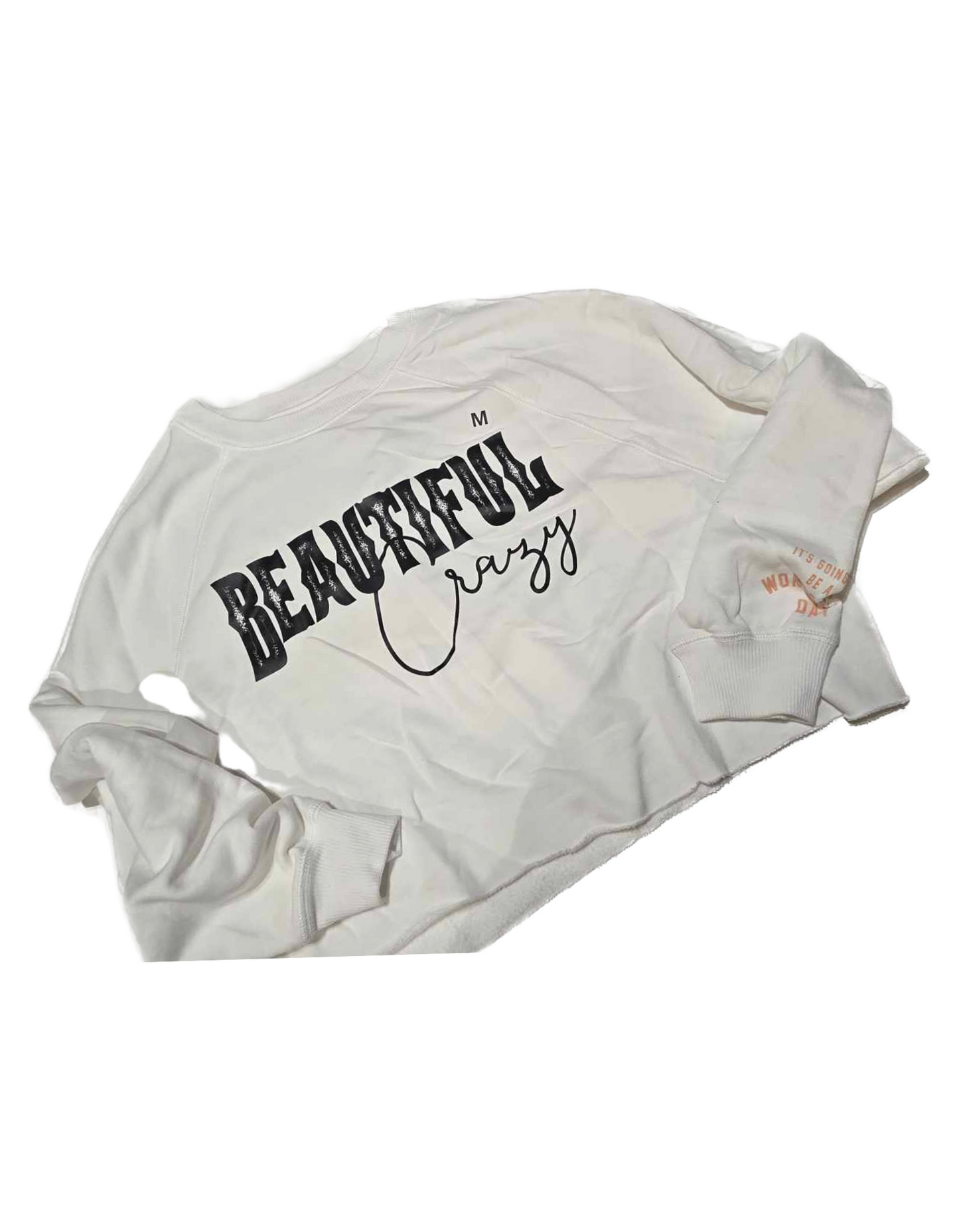Oversized Cropped Crewneck American Eagle Adult Medium